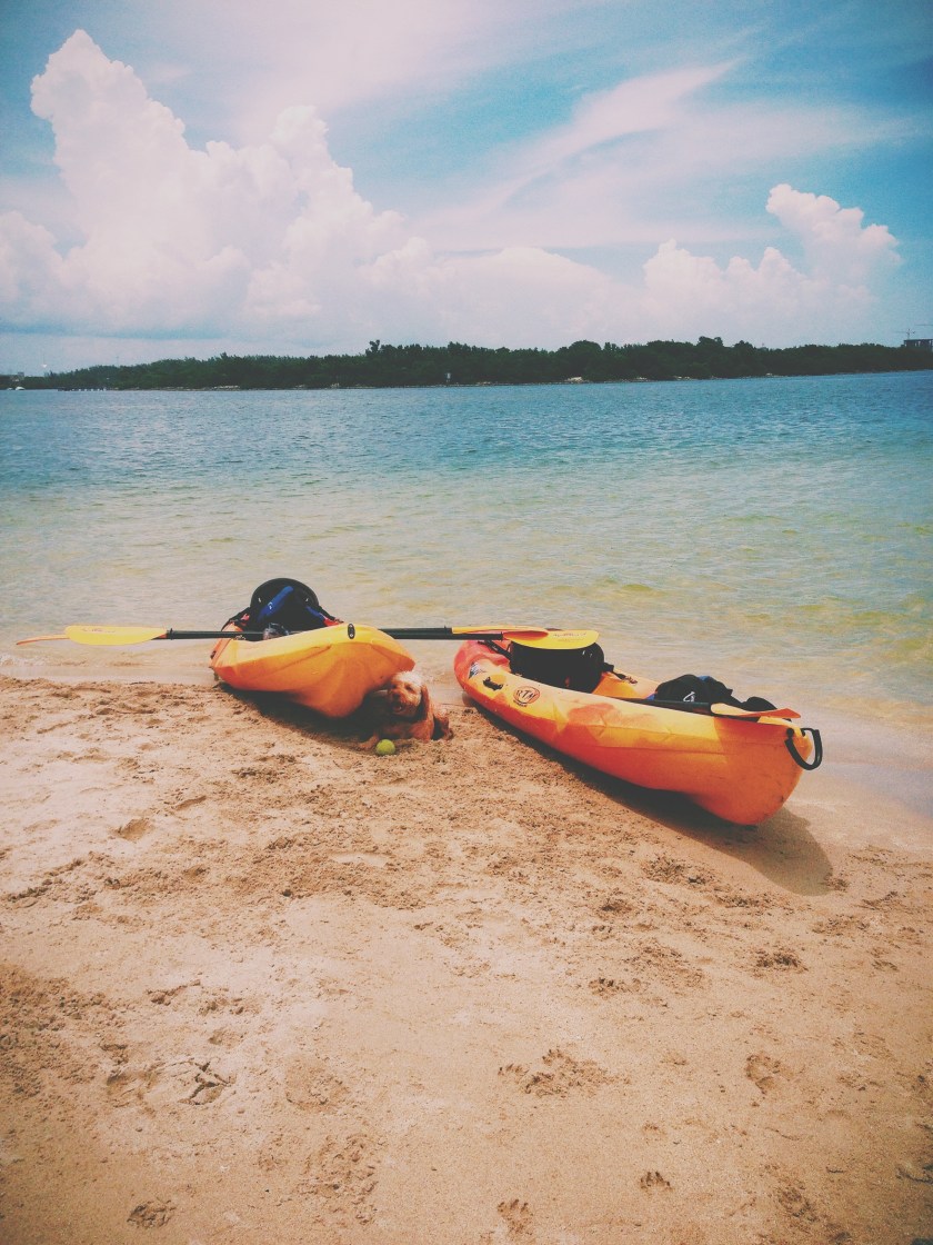 Processed with VSCOcam with c1 preset