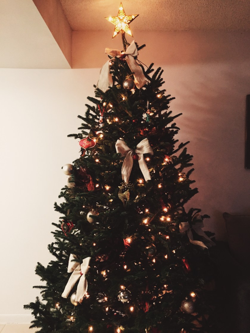 Processed with VSCOcam with lv03 preset